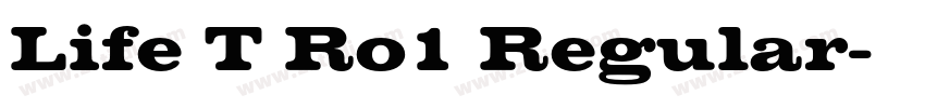 Life T Ro1 Regular字体转换